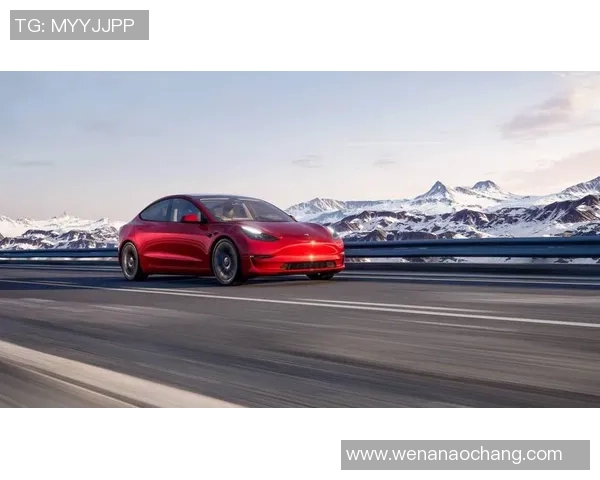 特斯拉足球球星的崛起与挑战：从天才少年到世界级球员的传奇之路