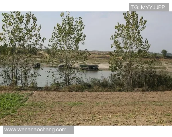 追寻消逝的辉煌记忆那些曾经迷失的绿茵球星故事 追寻消逝的辉煌记忆那些曾经迷失的绿茵球星故事