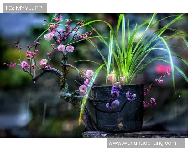 三十年代中国足球球星风云：从梅兰芳到李传科的传奇岁月