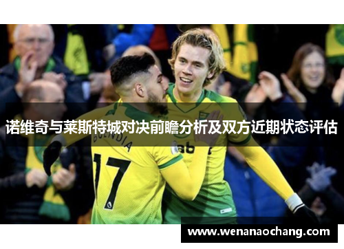 诺维奇与莱斯特城对决前瞻分析及双方近期状态评估